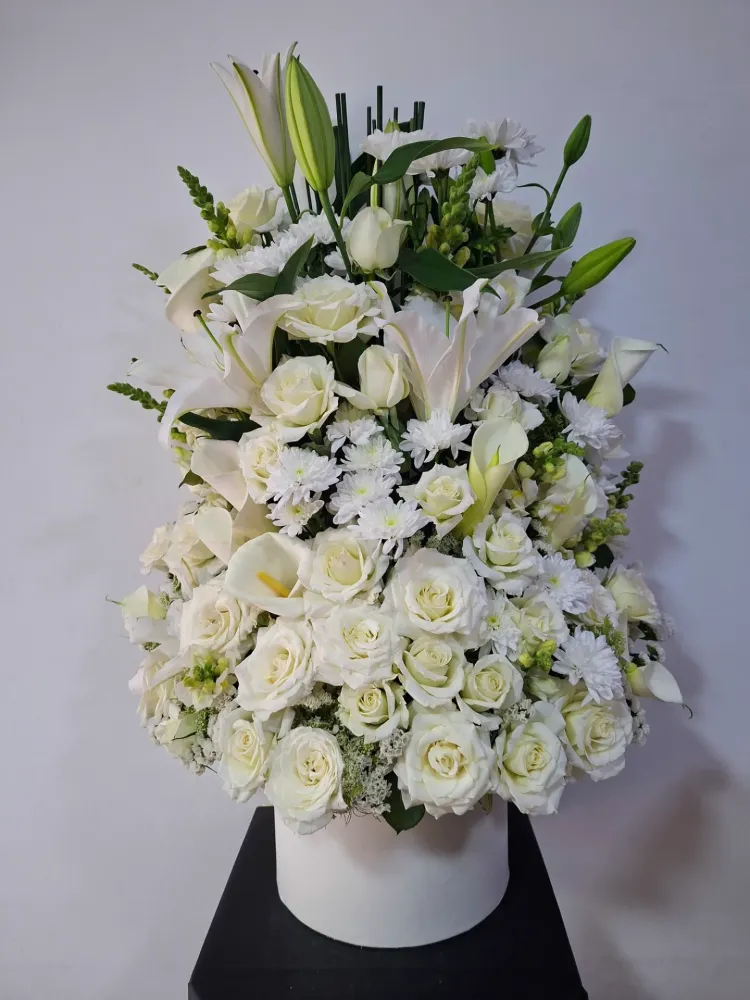 Fleur de Lune vue 2